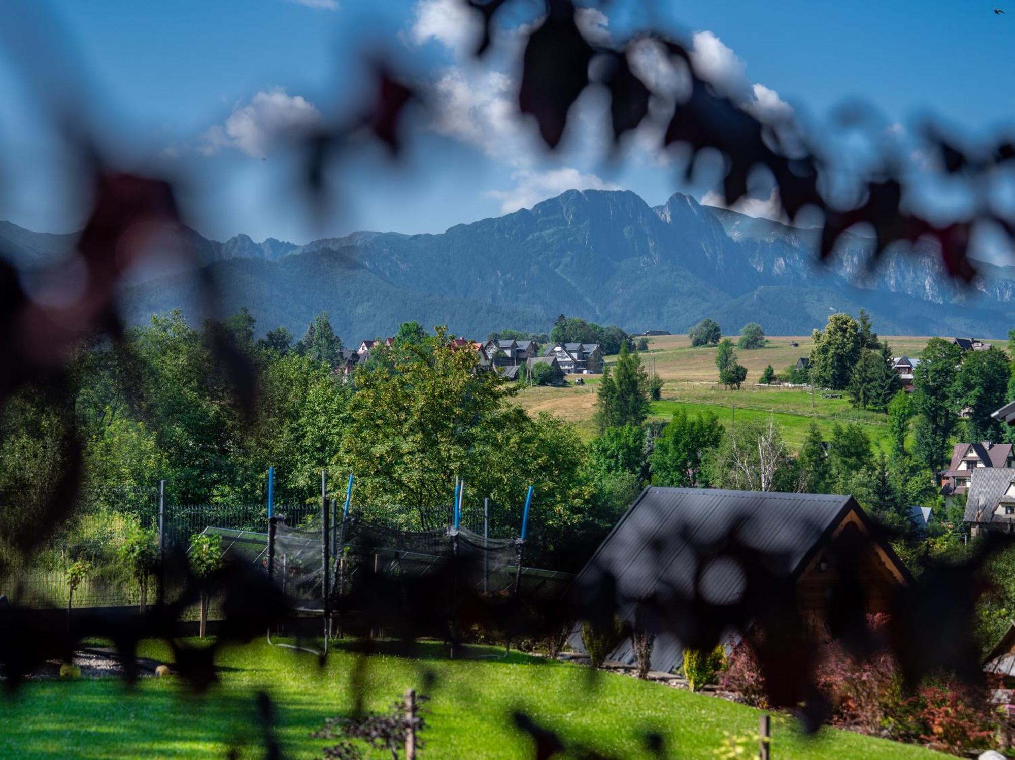 Zacisze Galicove Villa Zakopane Eksteriør billede